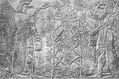 Adoracja drzewa życia. Płaskorzeźba z Kalchu - pierwsza połowa IX wieku p.n.e.