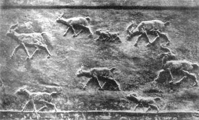 Gazele biegnące w rozproszeniu, co wywołuje wrażenie rozległości stepu. Płaskorzeźba z pałacu Aszurbanipala w Niniwie - VII wiek. p.n.e.